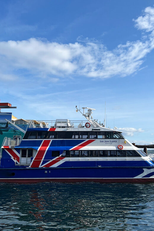 Seattle: Half-Day Wildlife and Whale Watching Cruise - What Could Be Better