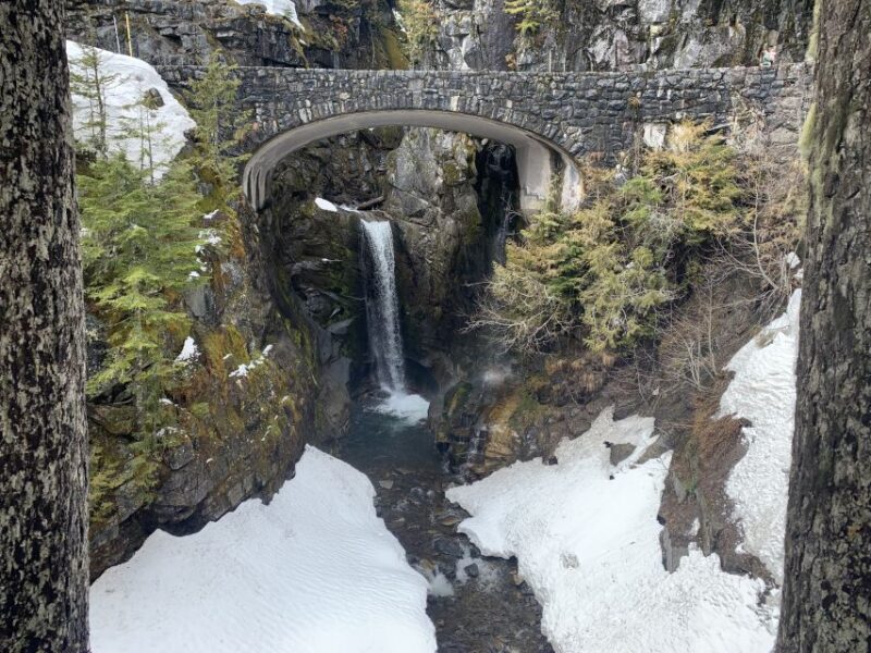 Seattle: Mt. Rainier Hiking w/ Waterfalls, Glaciers & Trees - Key Points