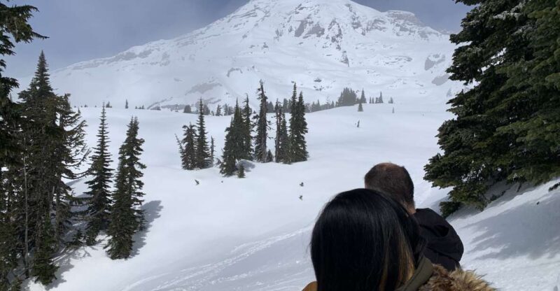 Seattle: Mt. Rainier Hiking w/ Waterfalls, Glaciers & Trees - An In-Depth Look at the Tour