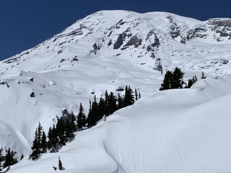 Seattle: Mt. Rainier Hiking w/ Waterfalls, Glaciers & Trees - Pricing and Value
