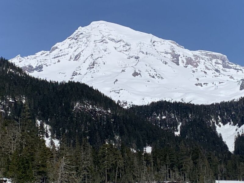 Seattle: Mt. Rainier Hiking w/ Waterfalls, Glaciers & Trees - Who Will Love This?