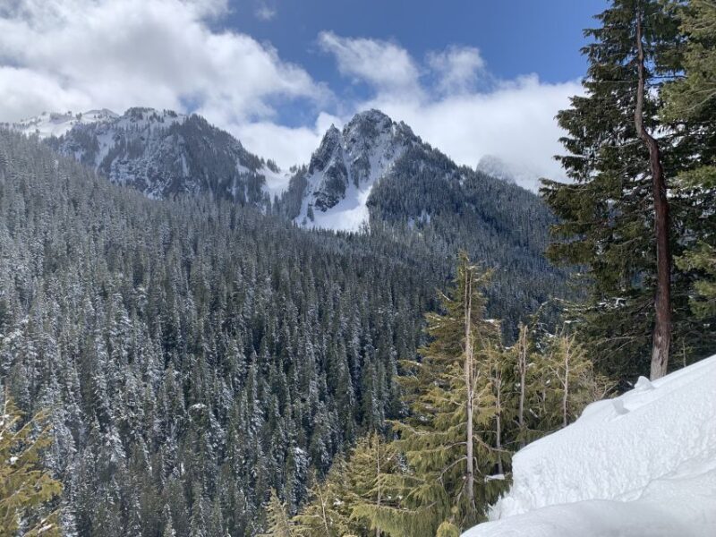Seattle: Mt. Rainier Hiking w/ Waterfalls, Glaciers & Trees - The Sum Up