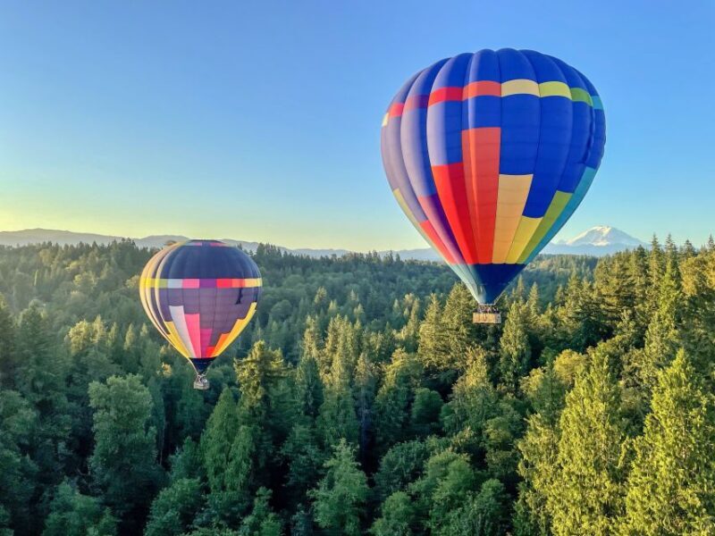 Seattle: Mt. Rainier Sunrise Hot Air Balloon Ride - Who Will Love This Tour?