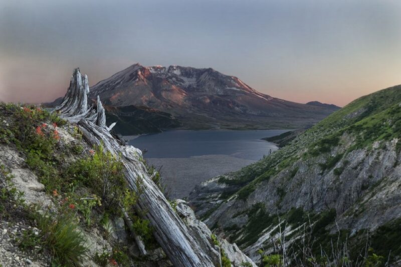Seattle: Mt. St. Helens National Monument Small Group Tour - Practical Tips for Future Travelers