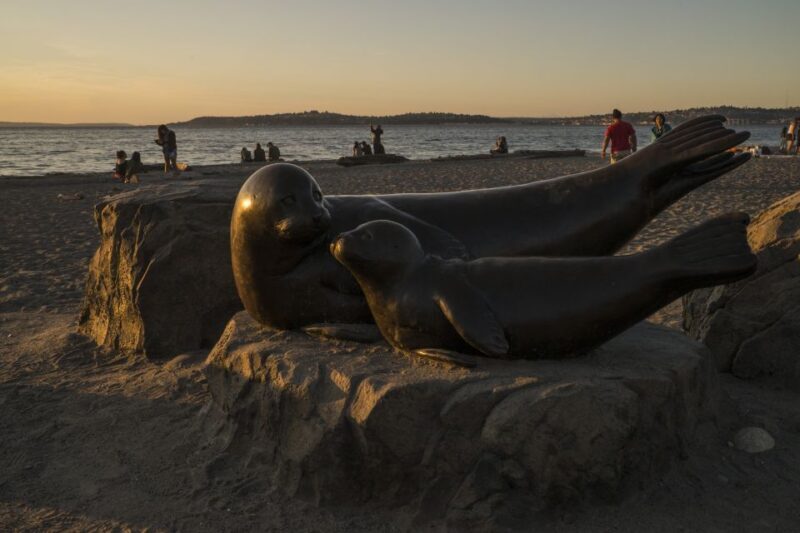 Seattle: Night Tour with Local Guide - What to Expect from the Seattle Night Tour