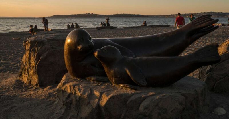 Seattle: Night Tour with Local Guide - The Experience: Pros and Cons