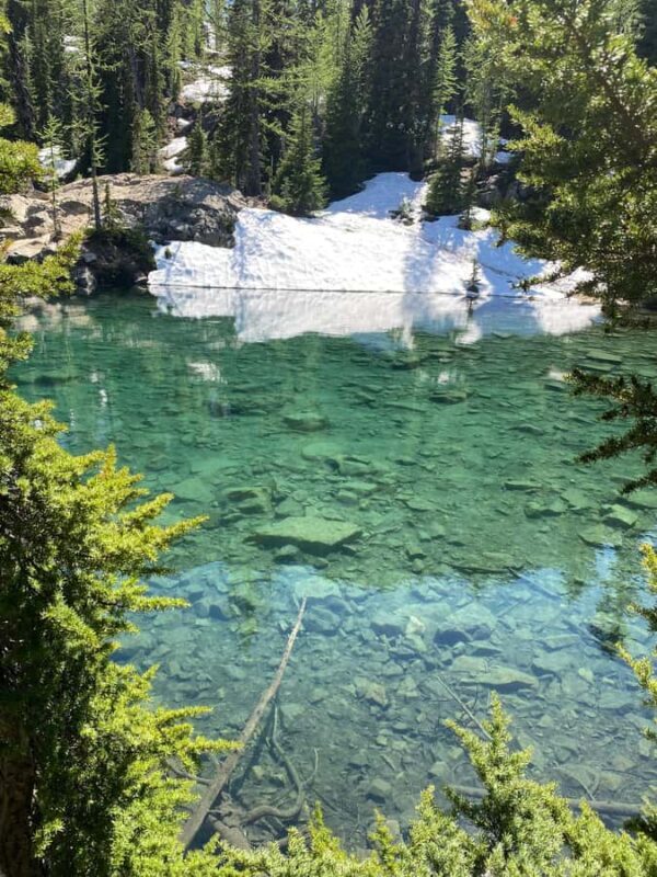 Seattle: North Cascades Day Trip Experience - Who Would Love This Tour?