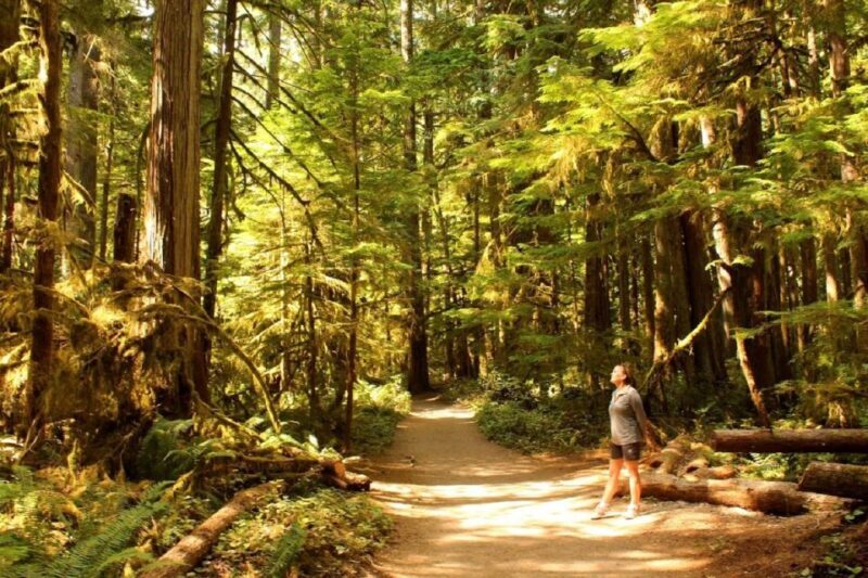 Seattle: Olympic National Park Small-Group Tour - A Deep Dive into the Olympic National Park Small-Group Tour