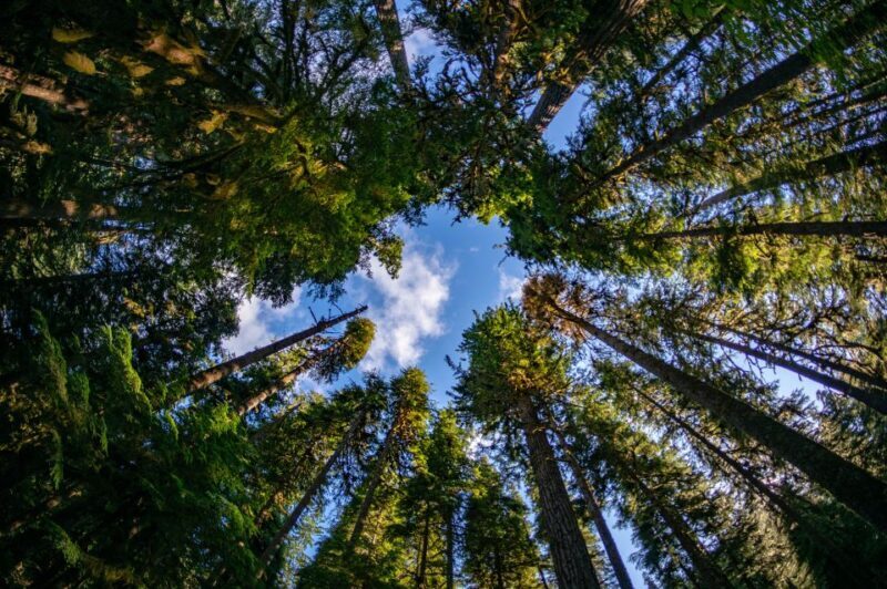 Seattle: Olympic National Park Small-Group Tour - The Guide: Knowledgeable, Passionate, and Friendly