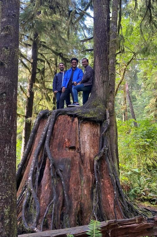 Seattle: Rainforest and Olympic National Park Highlights - Key Points