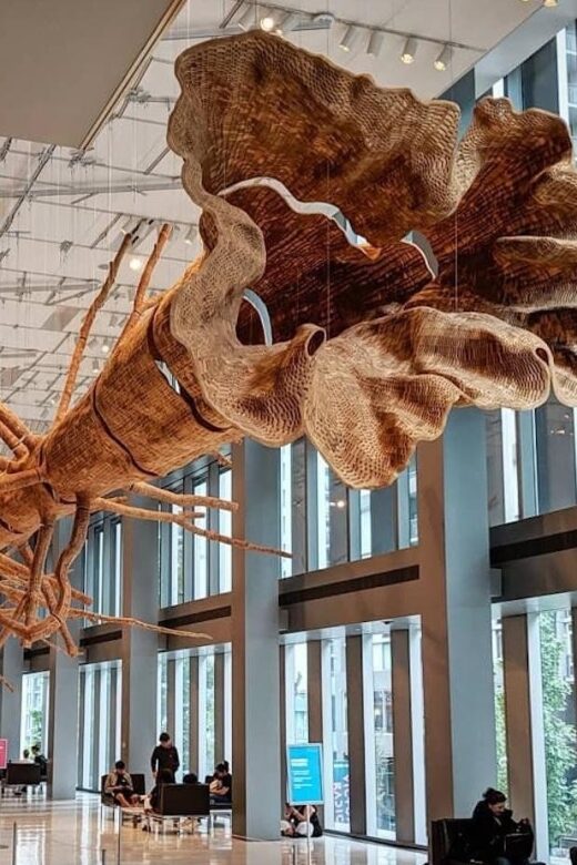 Seattle: Seattle Art Museum Admission Ticket - Practical Tips for Visiting