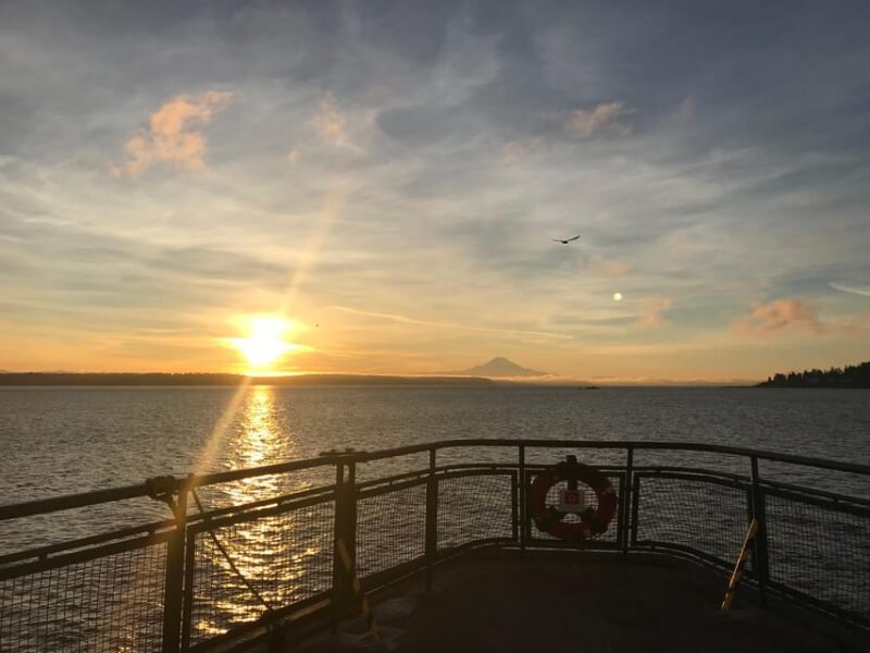 Seattle: Summer Views Cruise - An Overview of the Seattle: Summer Views Cruise Experience