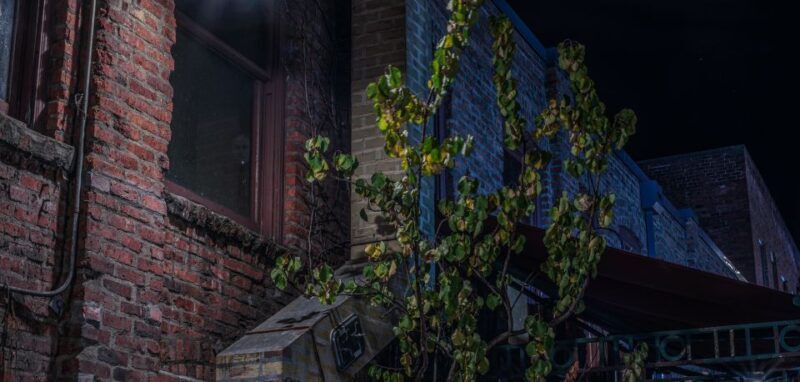 Seattle: Terrors and Ghosts Guided Walking Tour - An In-Depth Look at the Haunted Seattle Tour