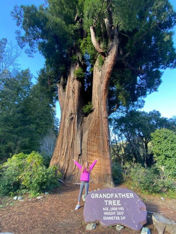 Seattle to California: National Parks and Coast Road Trip - Transportation and Accommodations