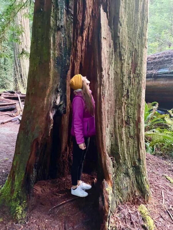 Seattle to California: National Parks and Coast Road Trip - The Experience Provider