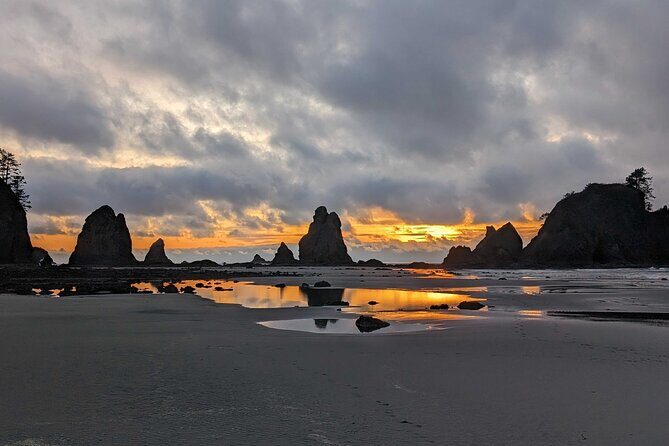 Seattle to Edmonds 4WD Private Tour - What the Tour Includes and What to Keep in Mind