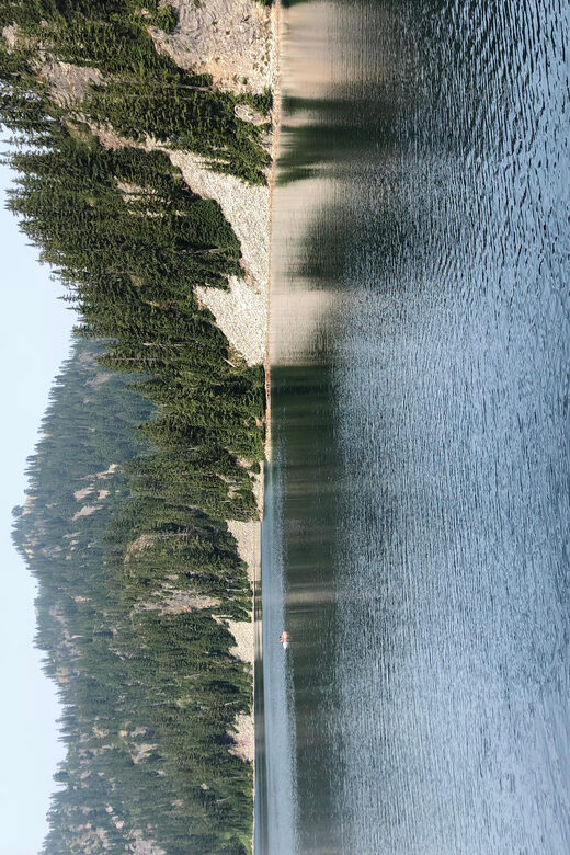 Seattle, Washington: Hike the Gorgeous Trails in Washington - Why This Tour Is a Great Choice