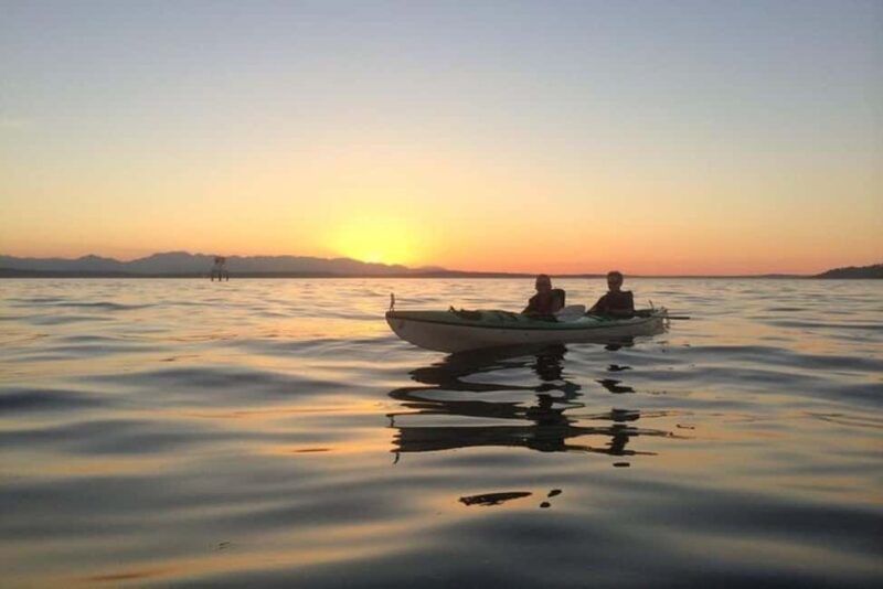Seattle: West Seattle Sunset Sea Kayak Tour - What You Can Expect From This Tour