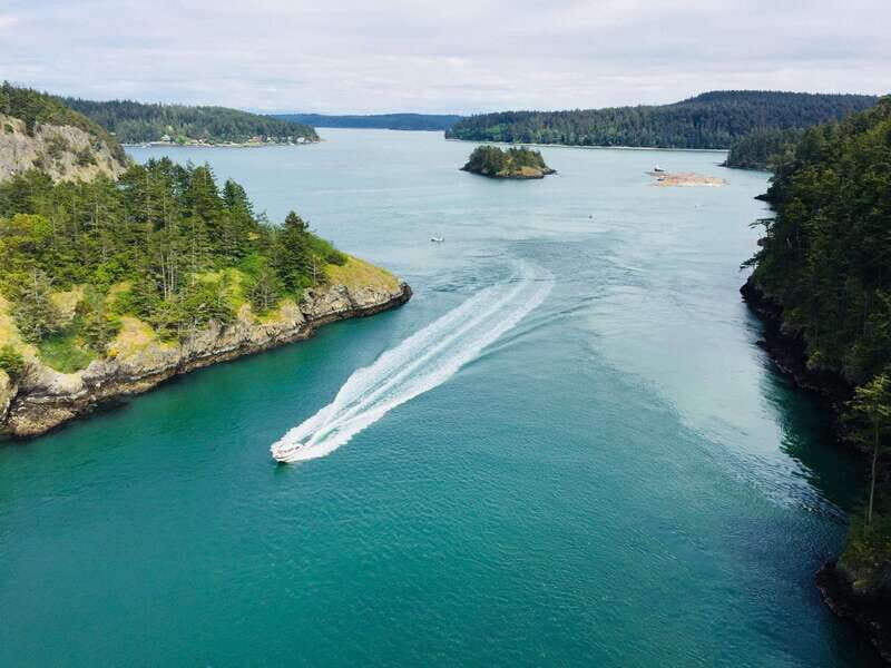 Seattle: Whidbey Island Deception Pass + Winter Birding Trip - A Deep Dive into the Experience