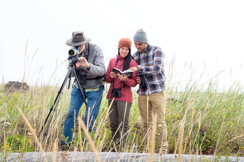 Seattle: Whidbey Island Deception Pass + Winter Birding Trip - Who Will Love This Tour?