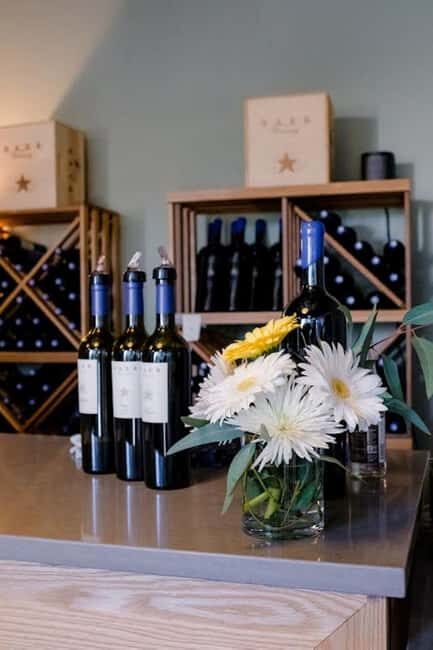 Seattle: Woodinville Guided Wine Tour with Optional Tastings - Who Will Enjoy This Tour?