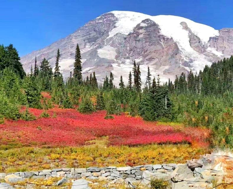 Seattle:Small Group Mount Rainier National Park 1-Day Tour - The Scenic Drive from Seattle to Mount Rainier