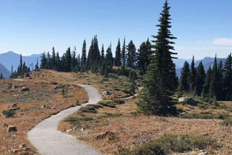 Seattle:Small Group Mount Rainier National Park 1-Day Tour - Narada Falls