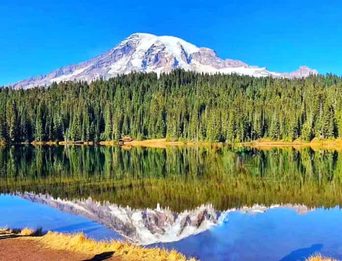 Seattle:Small Group Mount Rainier National Park 1-Day Tour - Optional Hikes & Snowshoeing
