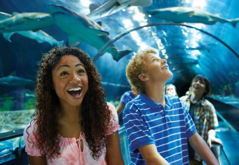 SeaWorld Orlando: Park Admission Ticket - Introduction