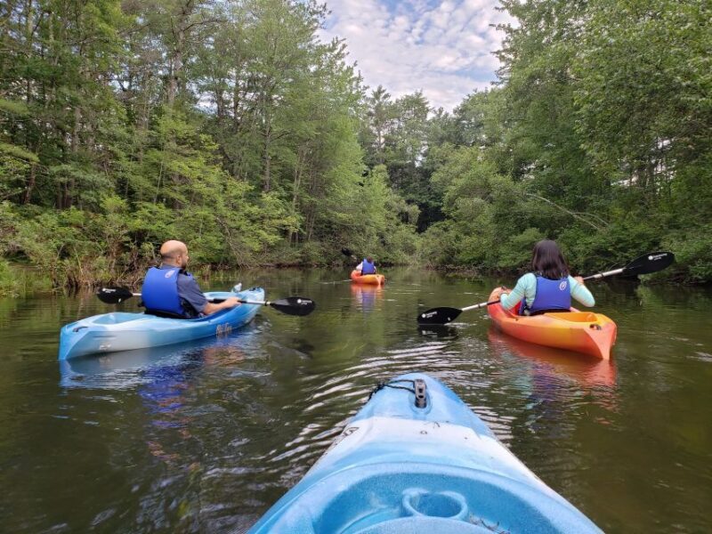 Sebago Lake Guided Sunset Tour by Kayak - Authentic Insights from Reviews