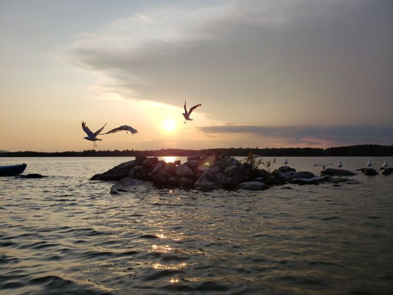Sebago Lake Guided Sunset Tour by Kayak - The Sum Up