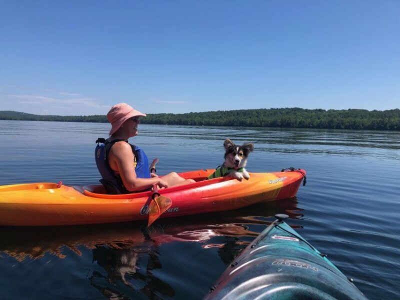 Sebago Lake: Half-Day Kayak Rental - Frequently Asked Questions