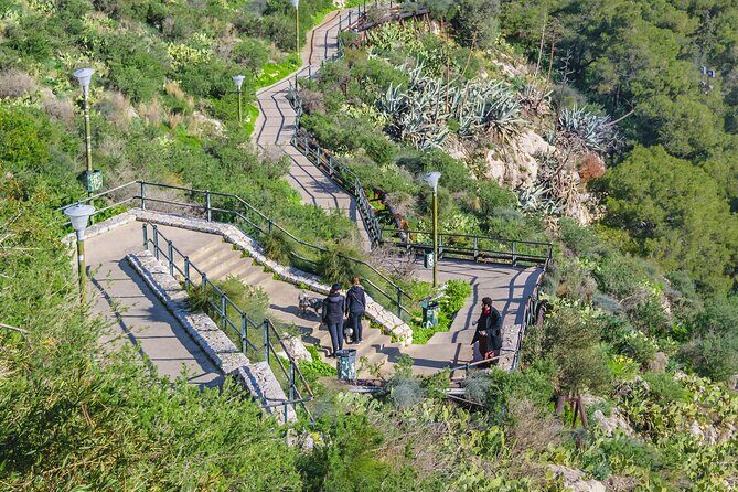 Secret Athens: Discover Hidden Gems On A Private Experience - Who Should Consider This Tour?