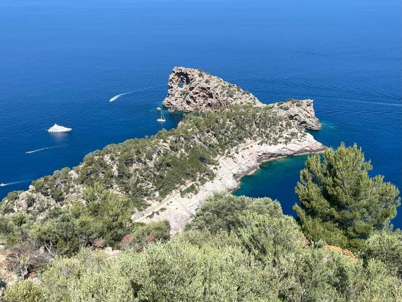 Secret Corners and Tastes of Mallorca by Private Tour - Who Would Love This Tour?