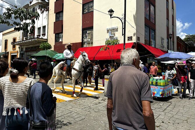 Secret Food Tours Oaxaca de Juarez in Mexico - Zocalo: The Historic Heart