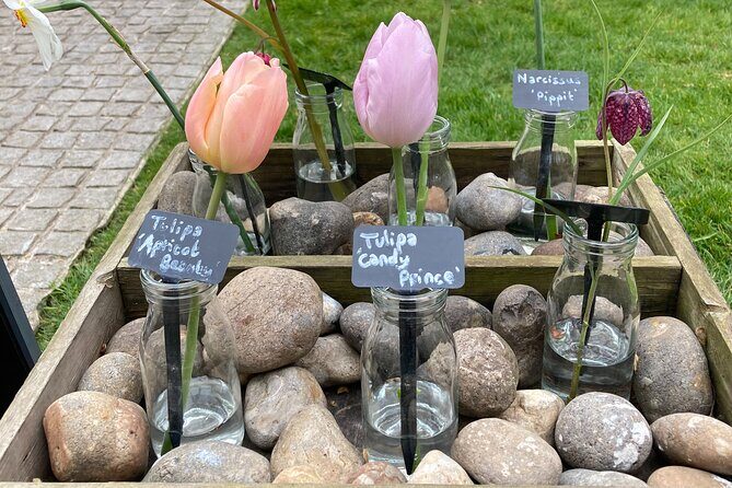 Secret Gardens of London Private Tour - FAQ