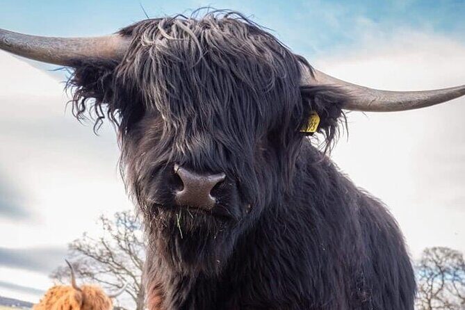 Secret Loch Ness, Inverness, Culloden, Cawdor Castle from port - The Itinerary in Detail: What to Expect