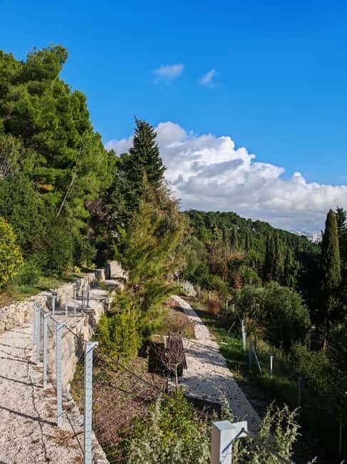 Secret Marjan Park Hiking Tour in Split - Exploring the Itinerary: What to Expect