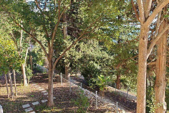 Secret Marjan Park Hiking Tour in Split - The Sum Up: Is It Worth It?