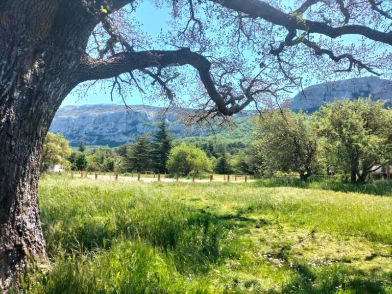 Secret Provence on Mary Magdalenes Path - The Bottom Line