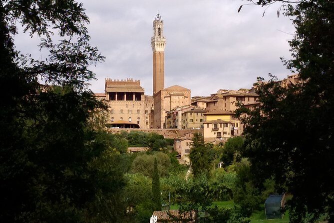 Secret Siena Walking Tour - Key Points