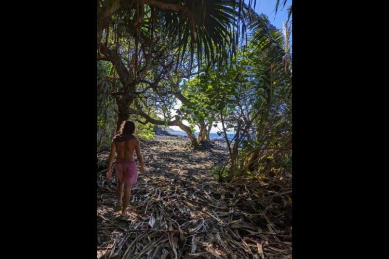 Secret Tide Pool Hike - Jungle & Coast - Private - FAQ