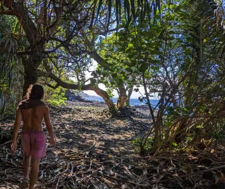 Secret Tide Pool Hike - Jungle & Coast - Private - Practical Tips for Visitors