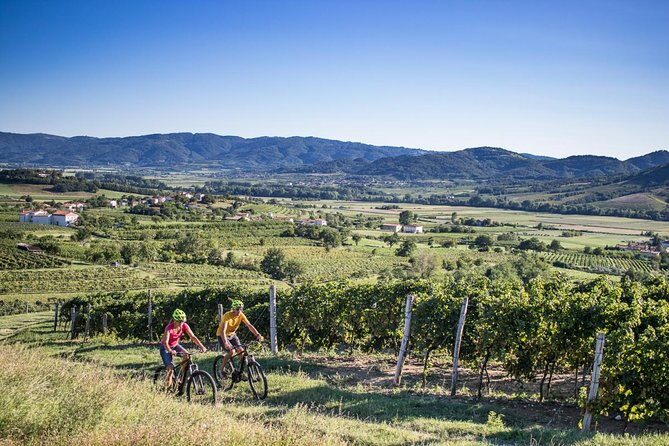 Secret vineyards E-bike tour - Key Points
