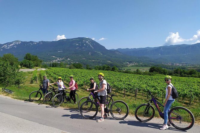 Secret vineyards E-bike tour - What Reviewers Love Most