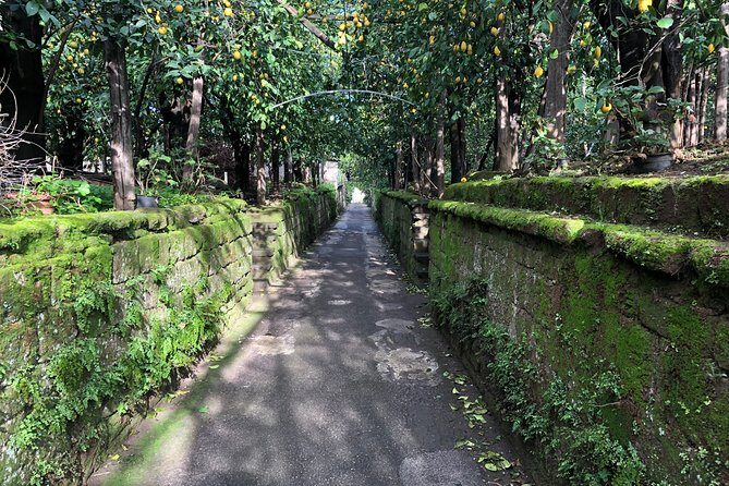 Secret walks of Piano di Sorrento - Who Should Consider This Tour?