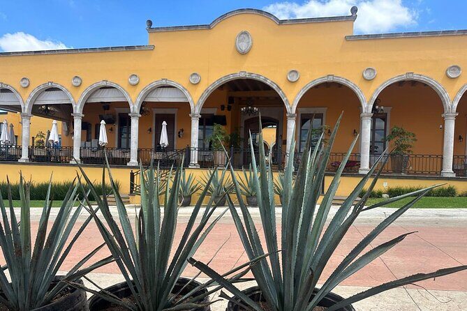 Secrets in Los Altos del Tequila - Exploring Secrets in Los Altos del Tequila: A Balanced Look at the Full-Day Tour