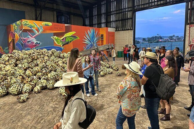 Secrets in Los Altos del Tequila - A Full Breakdown of What to Expect