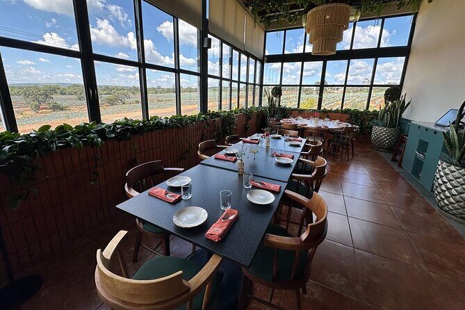 Secrets in Los Altos del Tequila - The Sum Up