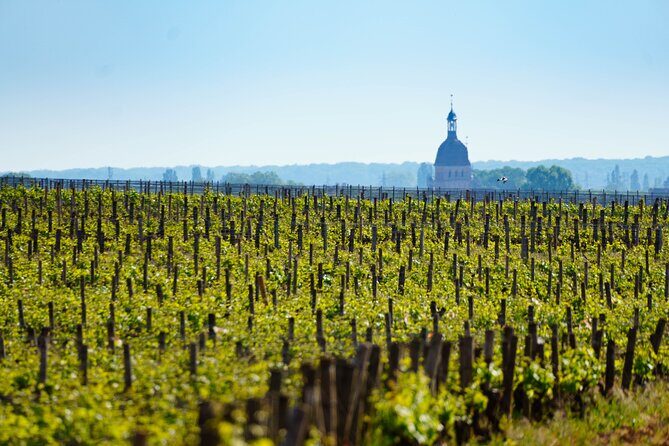 Secrets of Bordeaux Self Guided Tour - FAQ